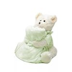 Kit-Urso-de-Pelucia-com-Manta-Flannel-Infantil---Andreza---Verde