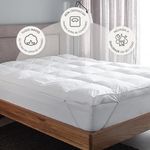 pillow-top-bud-vision-buddemeyer-3